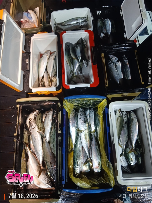 나만의밴드♥_사진_20260718_2.jpeg