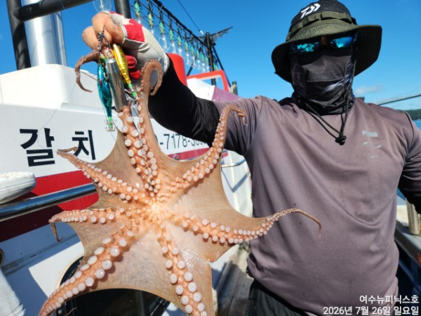 7월26일문어 (18).jpg