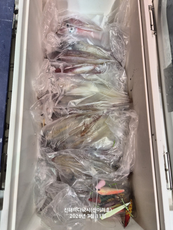 신아라호 한치 칼치 오징어_사진_20260711_12.jpg