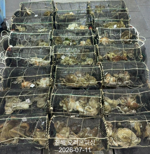 KakaoTalk_20260712_062457573_17.jpg