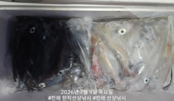 신아라호 한치 칼치 오징어_사진_20260709_6.jpg
