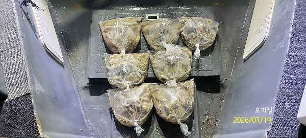 DateCamera0719225643.jpg