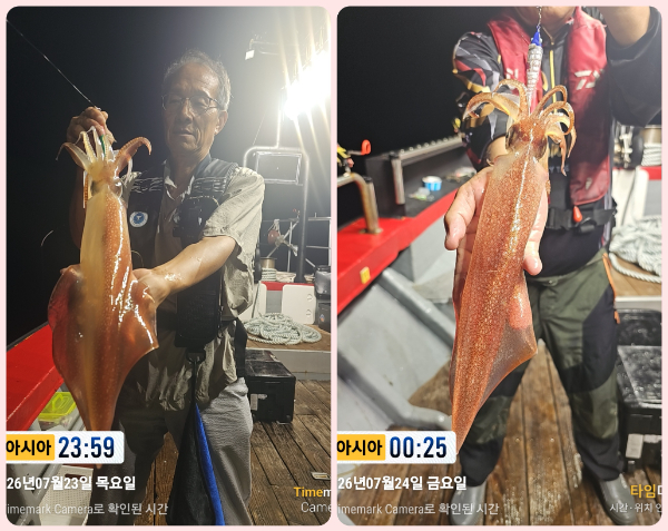 KakaoTalk_20260724_044447273-tile.jpg