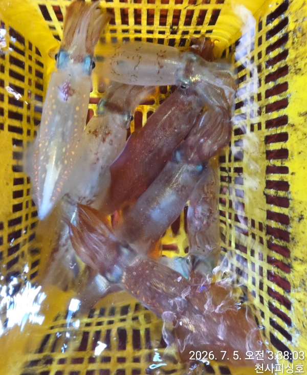 1004피싱_사진_20260705_9.jpg