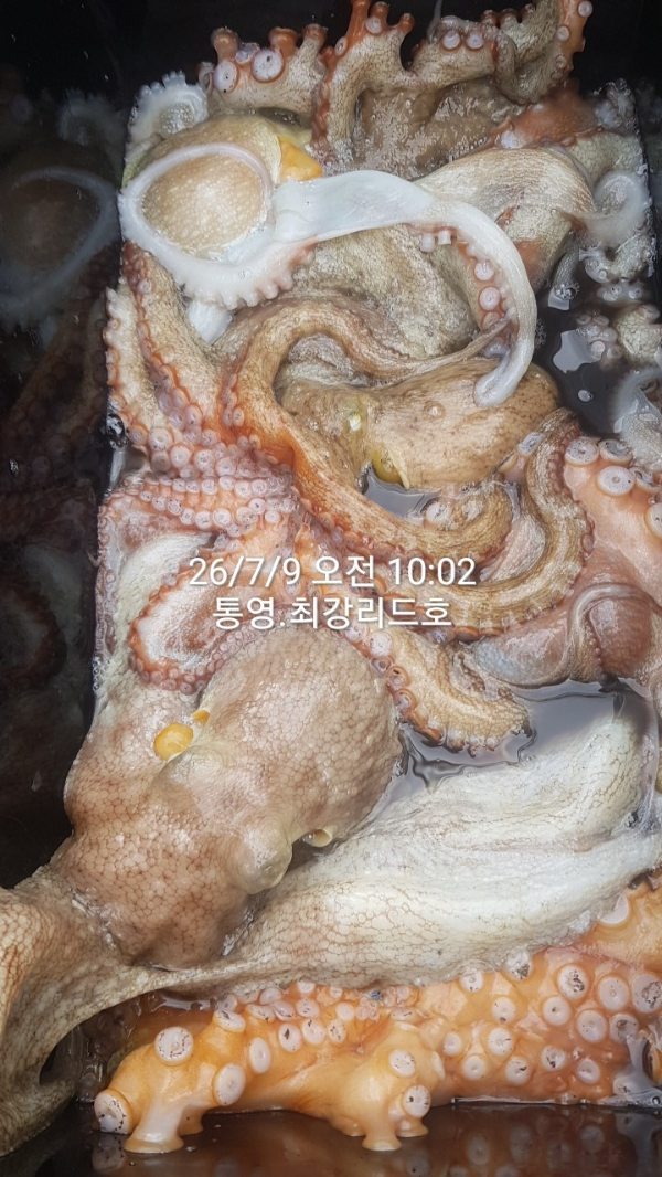 도담피싱클럽_사진_20260709_5.jpg
