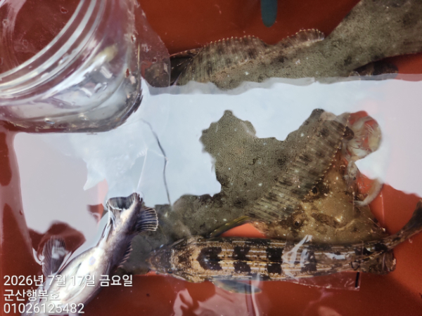 군산행복호_사진_20260717_6.jpg
