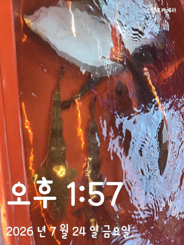 1000014962.jpg