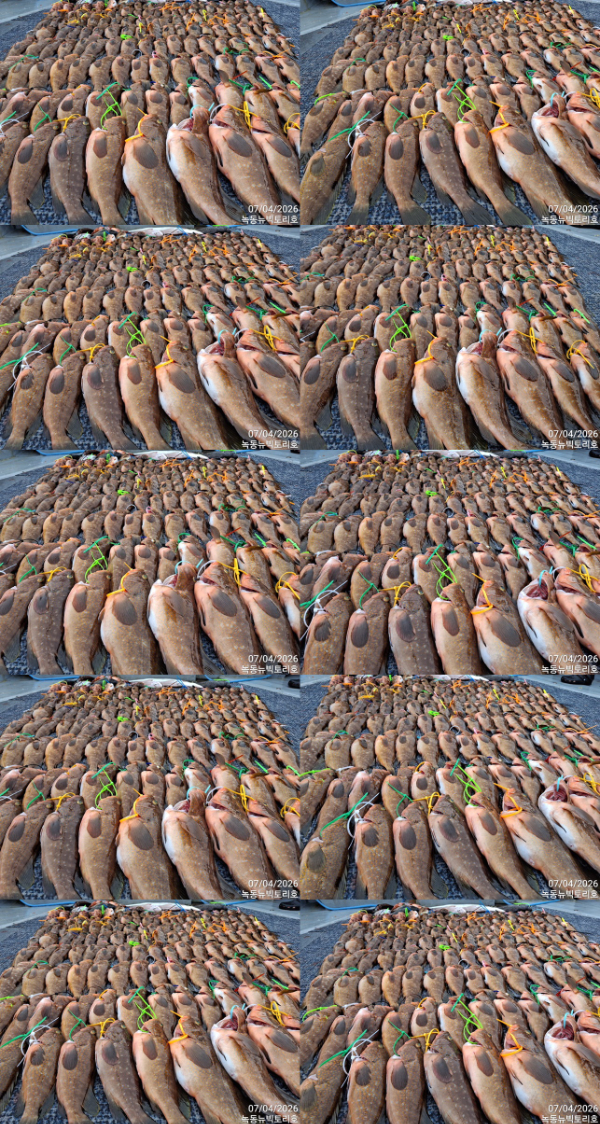 TimePhoto_20260704_143231-tile.jpg