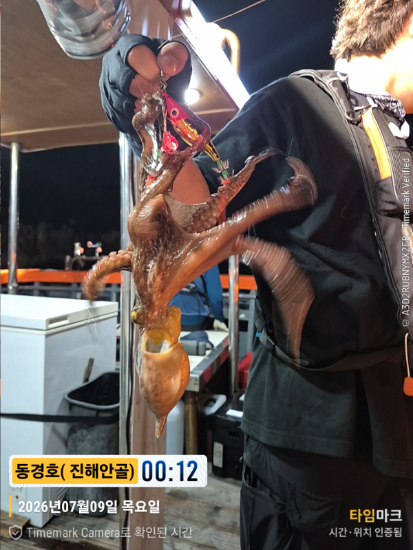 2026-07-09 00.12.02__(제목-동경호( 진해안골)).jpg