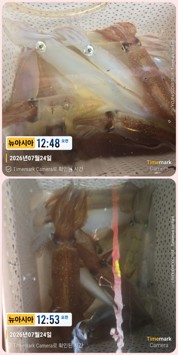 KakaoTalk_20260724_044525737_04-down.jpg