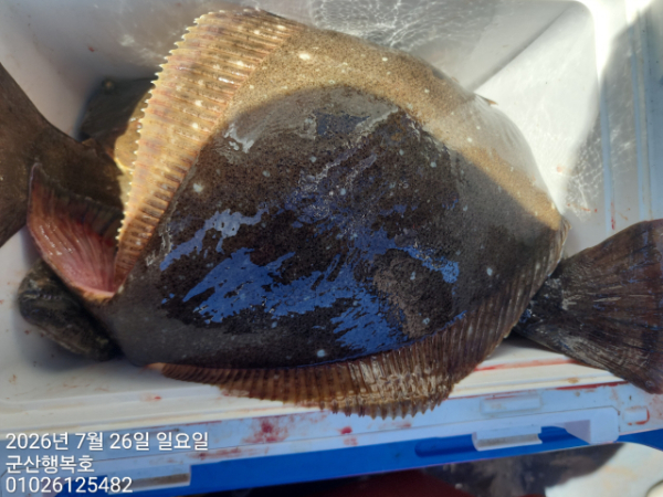 군산행복호_사진_20260726_9.jpg