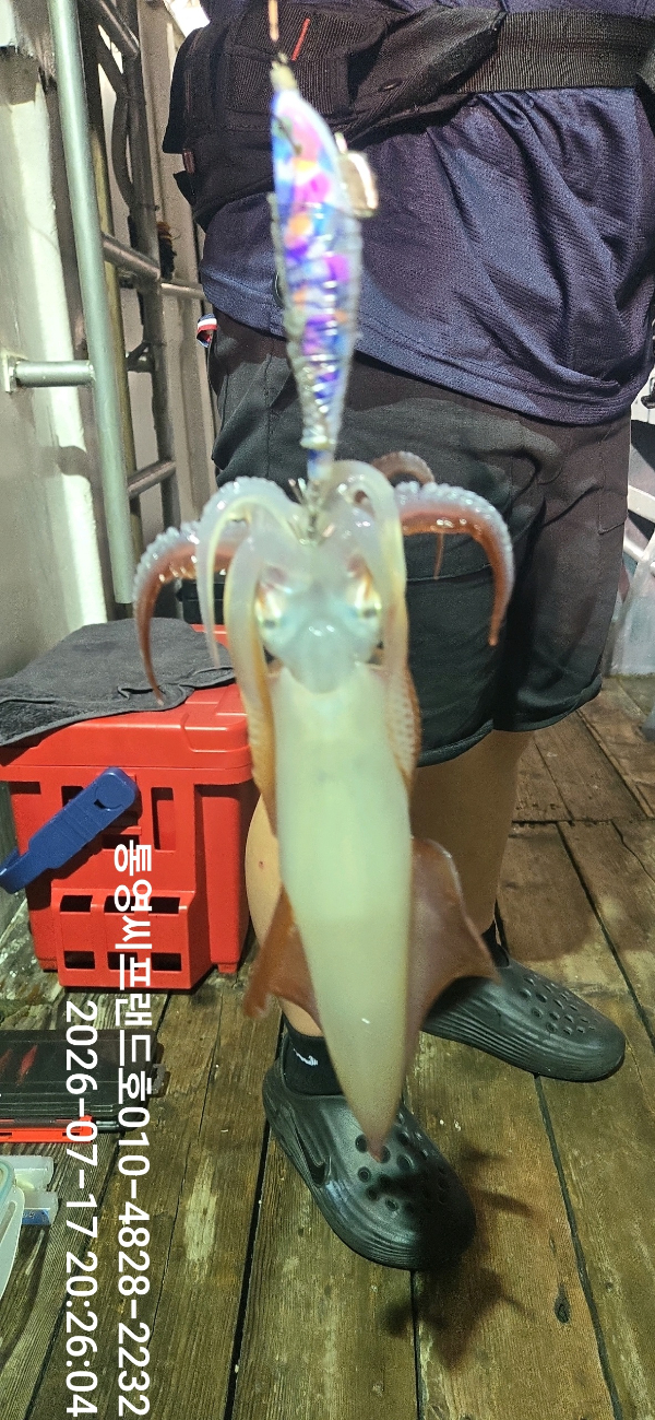 Resized_DateCamera0717202604.jpeg