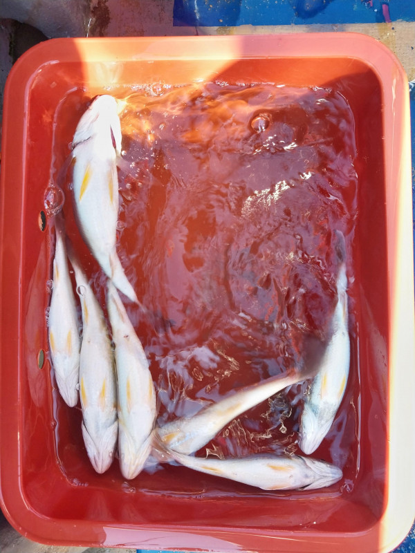 KakaoTalk_20260711_184025500_12.jpg