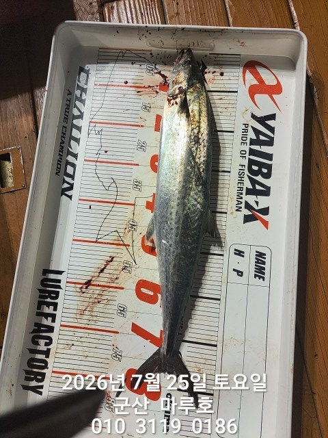 KakaoTalk_20260726_045538189_13.jpg