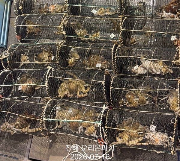KakaoTalk_20260717_093522198.jpg