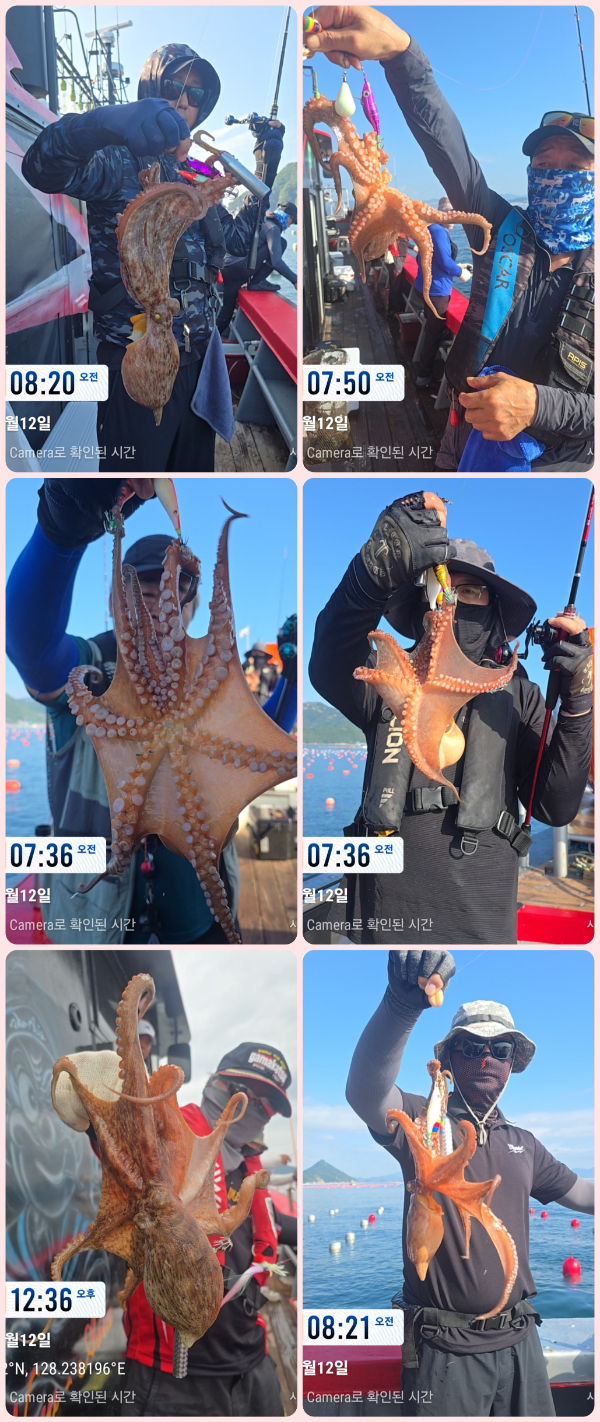 KakaoTalk_20260712_194143338_15-tile.jpg