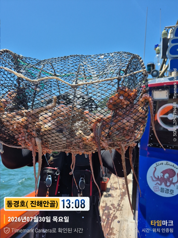 2026-07-30 13.08.34(1)__(제목-동경호( 진해안골)).jpg