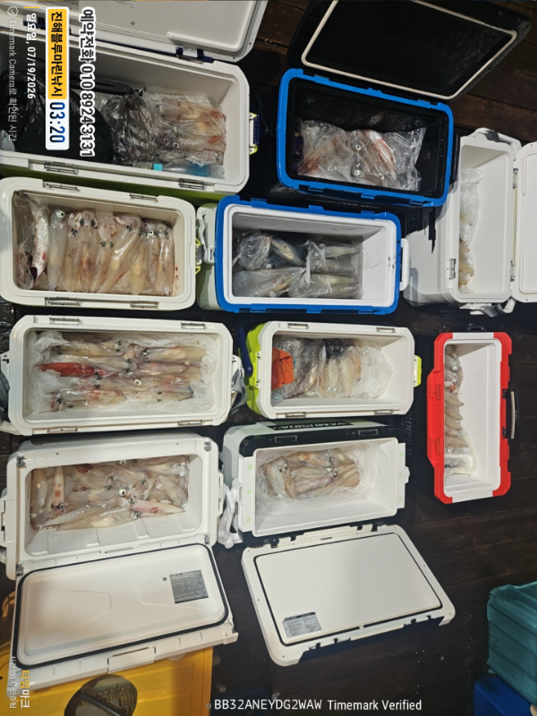 2026-07-19 03.20.49__(제목-진해블루마린낚시)_(예약전화 010 8924 3131).jpg