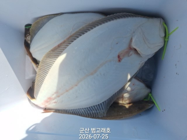 KakaoTalk_20260725_172720399_05.jpg