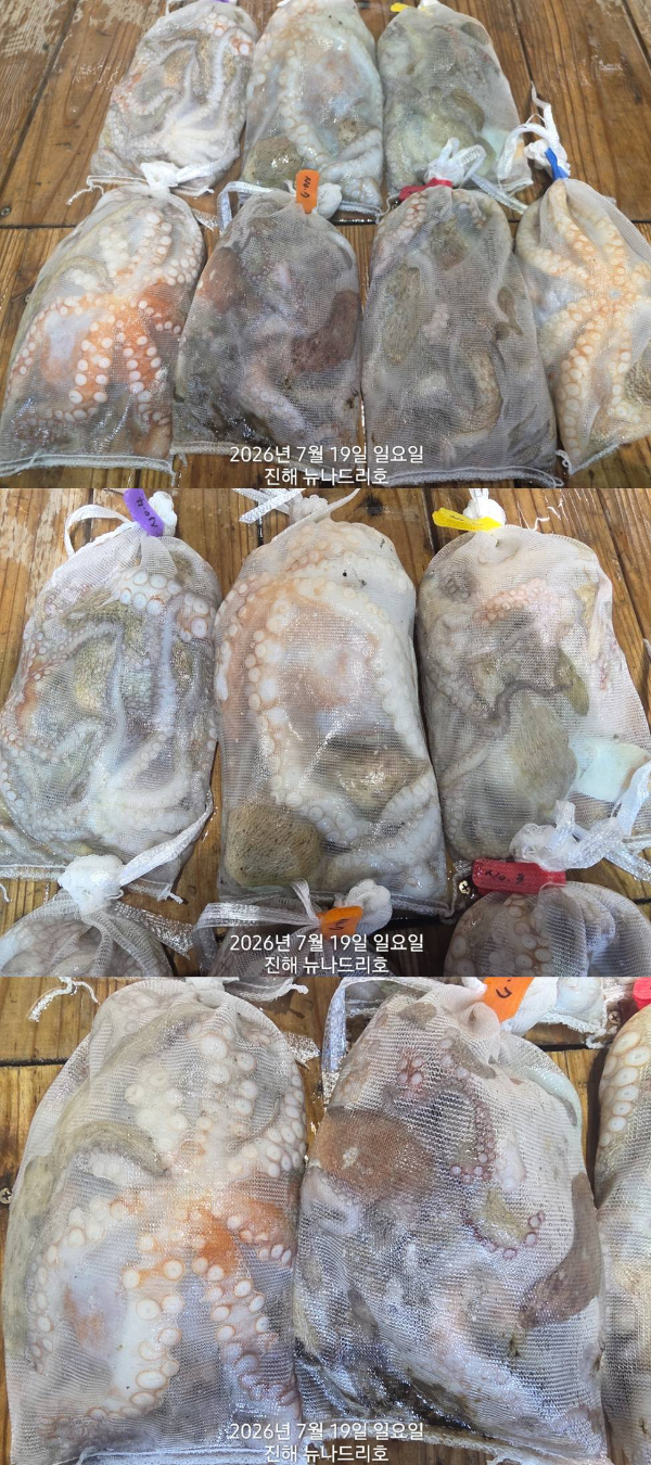 조2.jpg