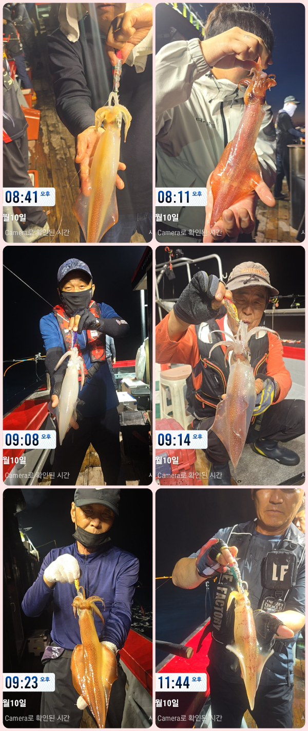 KakaoTalk_20260711_042646131-tile.jpg