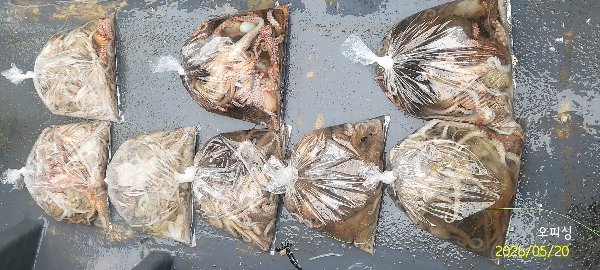 DateCamera0520121443.jpg