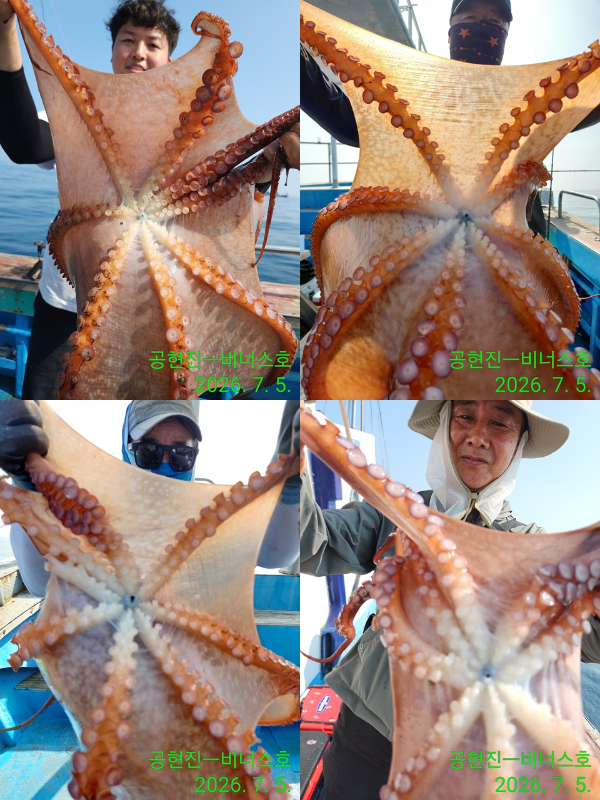 Resized_IMG_20260705_091505-tile.jpg