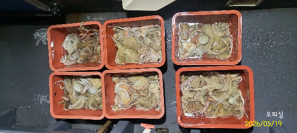 DateCamera0519222514.jpg
