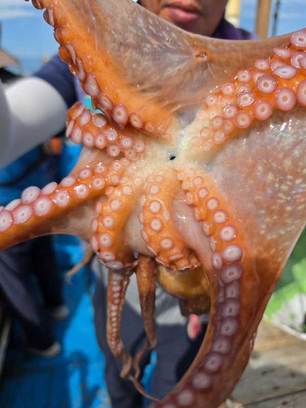 8D517CB2-4C68-4A96-A632-659055D4193B.jpeg