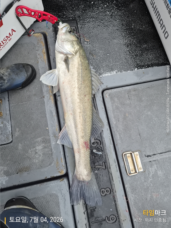 2026-07-04 15.14.46_.jpg