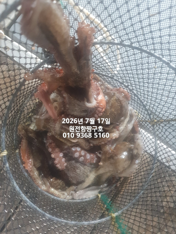 KakaoTalk_20260717_024455612_04.jpg