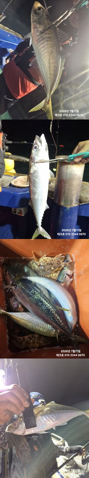 KakaoTalk_20260713_085449438_19-vert.jpg