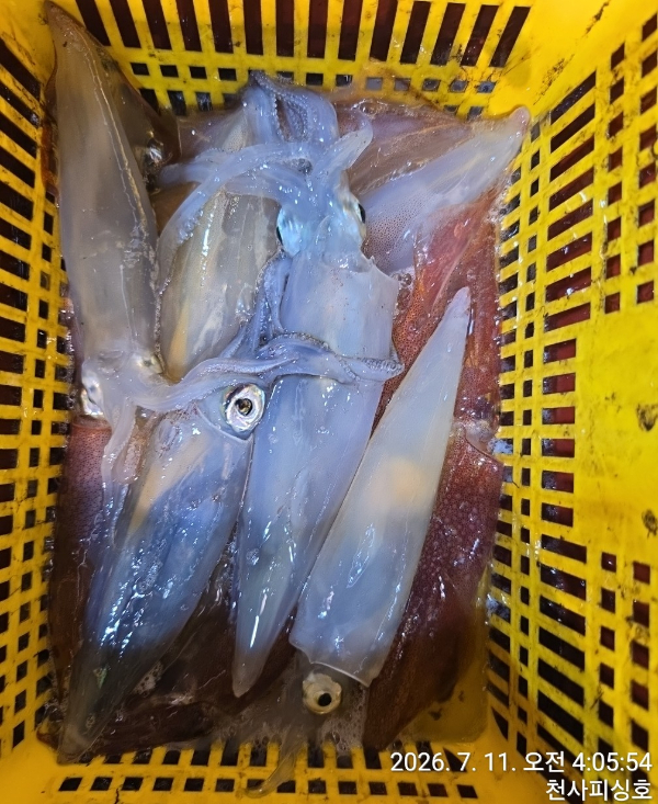 1004피싱_사진_20260711_14.jpg