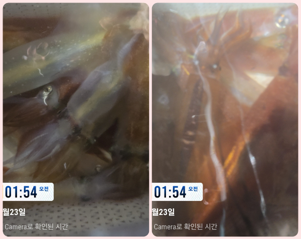 KakaoTalk_20260723_051554602-tile.jpg