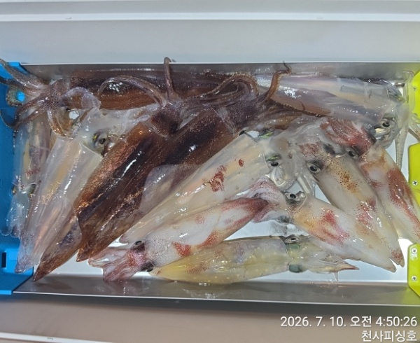 1004피싱_사진_20260710_11.jpg