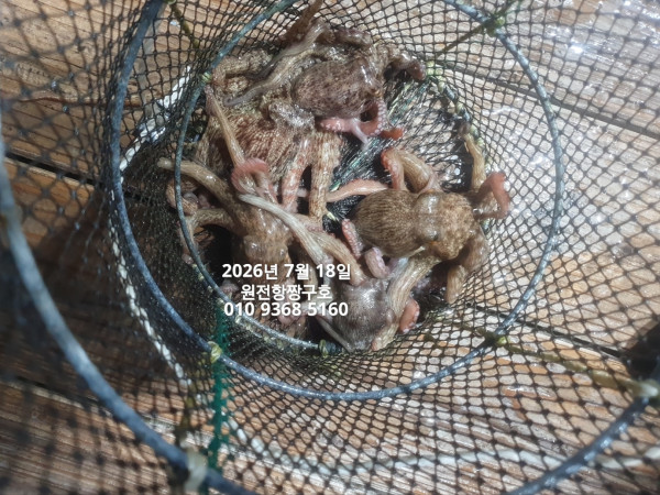 KakaoTalk_20260721_092917966_02.jpg