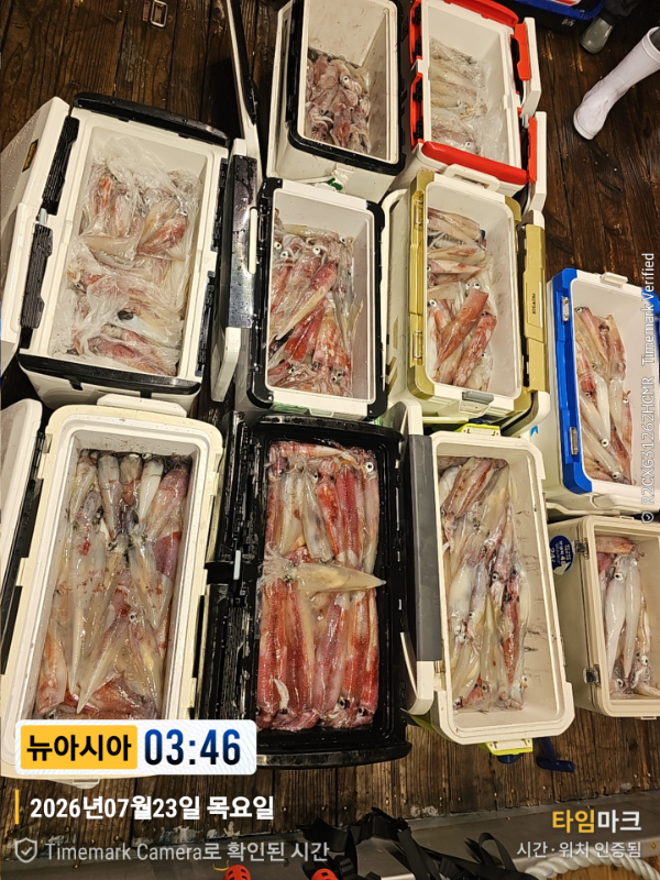 KakaoTalk_20260723_051554602_16.jpg
