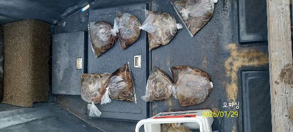 DateCamera0729083746.jpg