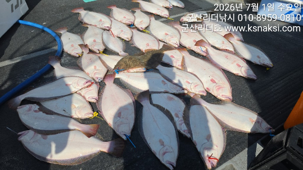 KakaoTalk_20260701_161140046_01.jpg