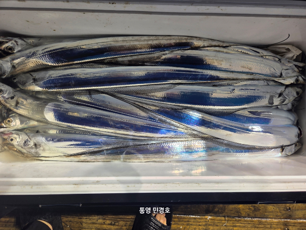 AE8206B5-633A-4FAE-A1D6-36F936029404.jpeg