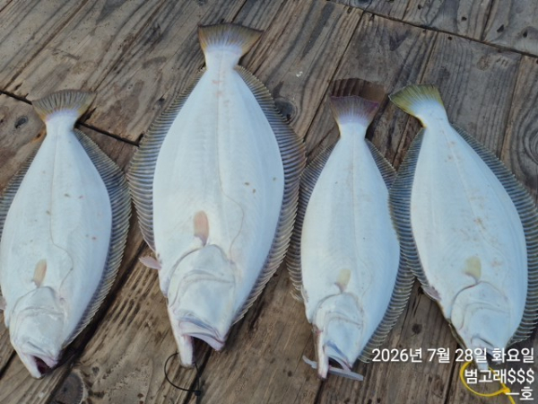 KakaoTalk_20260728_100717687_06.jpg