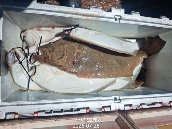 KakaoTalk_20260726_144651938_04.jpg