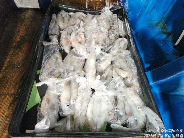 7월5일한치 (8).jpg