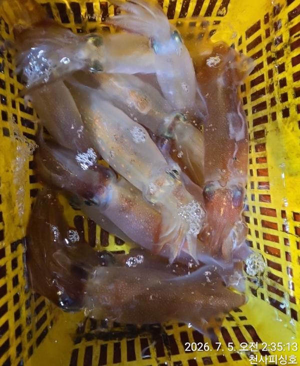 1004피싱_사진_20260705_12.jpg