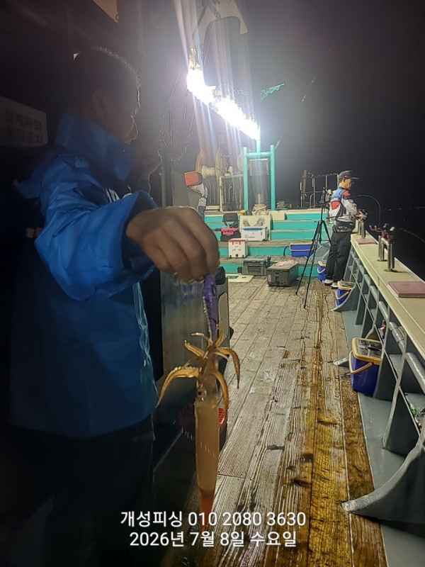 신아라호 한치 칼치 오징어_사진_20260709_9.jpg
