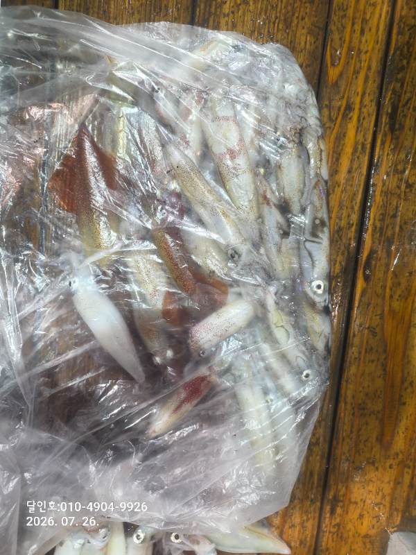 20260726_034641.jpg