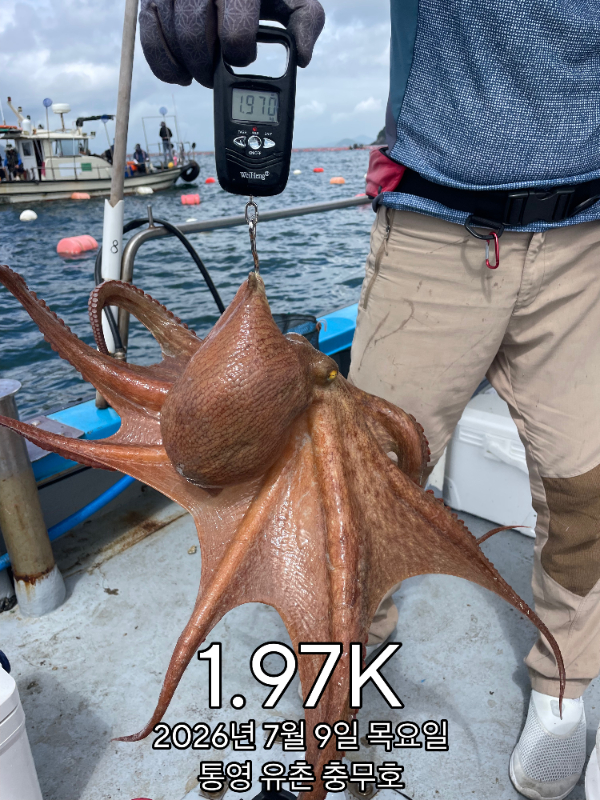 1783577883247.jpg