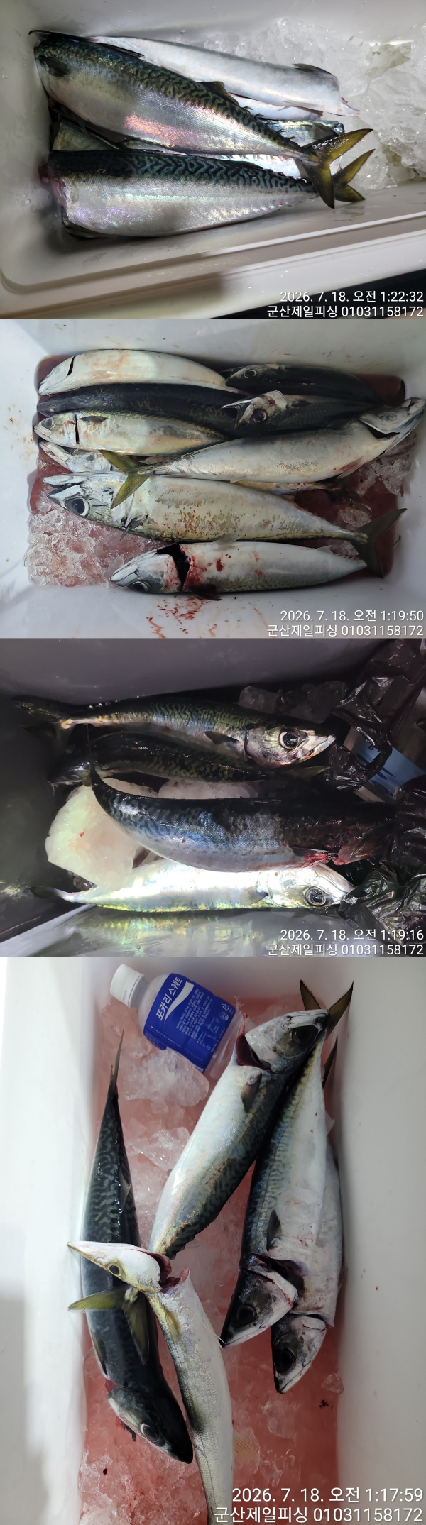 0718제고등쿨러.jpg
