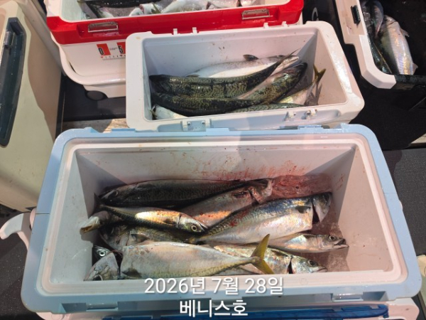 KakaoTalk_20260728_144653614_05.jpg
