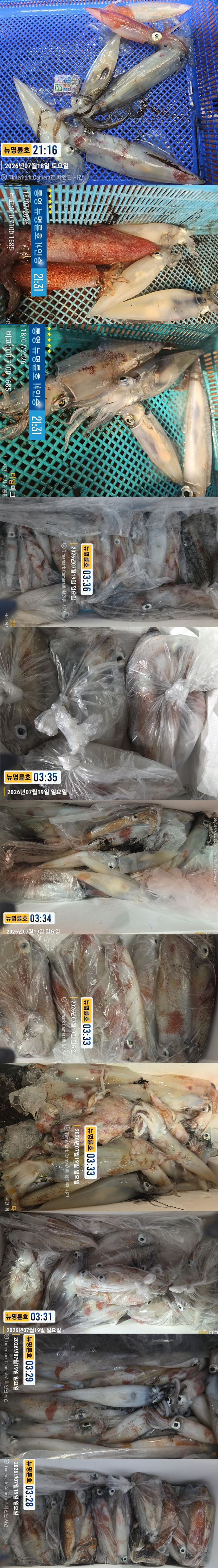 7-19한치2.jpg